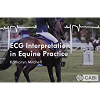 ECG Interpretation in Equine Practice